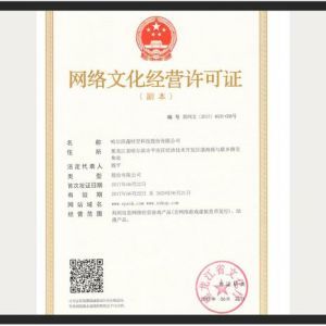 網(wǎng)絡(luò)文化經(jīng)營(yíng)許可證 定義、申請(qǐng)流程與行業(yè)意義